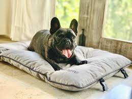 10 Best Folding Dog Bed Options for Camping and Travel